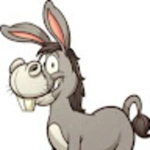 Meet your Posher, Rixi